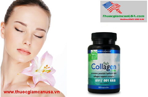 fish collagen + H.A chinh hang